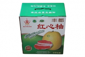 身邊常常出現(xiàn)塑料袋承重不行問題，你有真正了解過嗎